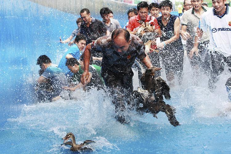 抓鸭子游戏怎么玩教程（中国各民族传统游戏）